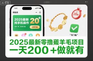 2025最新零撸薅羊毛项目，纯手机操作，20秒一单，无任何门槛，一天200+做就有【揭秘】-副业网创