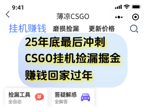 用CSGO游戏挂机捡漏掘金赚钱掘金，一部手机轻松日入500+-副业网创