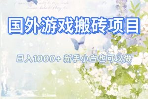 国外游戏搬砖项目,日入1k+,全自动解放双手,新手小白也可做【揭秘】-副业网创