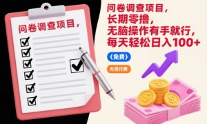 问卷调查项目,长期零撸,无脑操作有手就行,每天轻松日入100+【揭秘】-副业网创