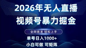 2026最新视频号无人直播掘金，全网首发，小白可以玩，长期稳定日入1k+【揭秘】-副业网创