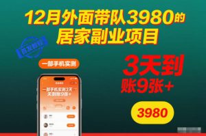 12月外面带队3980的居家副业项目,一部手机实测3天到账9张+,首发教程【揭秘】-副业网创