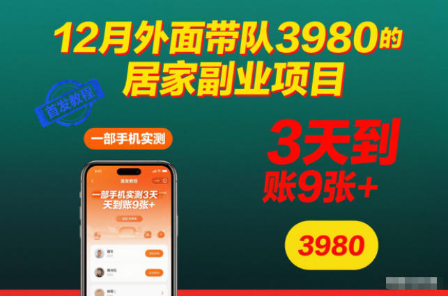 12月外面带队3980的居家副业项目,一部手机实测3天到账9张+,首发教程【揭秘】-副业网创