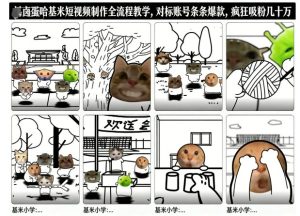 卤蛋哈基米短视频制作全流程教学，条条爆款，疯狂吸粉几十万-副业网创