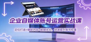 企业自媒体账号运营实战课:定位打造+ 爆款内容+数据优化,快速提升账号权重-副业网创