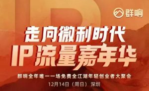 2025ip嘉年华万人12月14深圳线下课，走向微利时代，IP流量嘉年华，实操性极强的商业干货课-副业网创