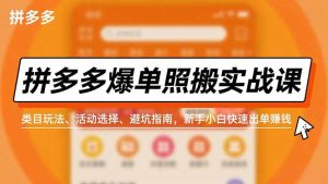 拼多多爆单照搬实战课,类目玩法、活动选择、避坑指南,新手小白快速出单赚钱-副业网创