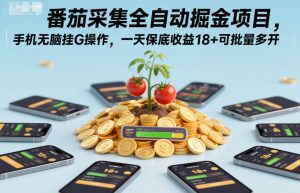 番茄采集全自动掘金项目，手机无脑挂G操作，一天保底收益18+可批量多开【揭秘】-副业网创