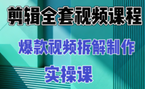 冰糖老师·AI视频制作实操课程(更新11月)-副业网创