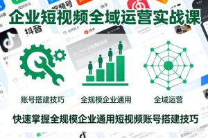 企业短视频全域运营实战课,快速掌握全规模企业通用短视频账号搭建技巧-副业网创