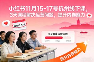 小红书11月15-17号杭州线下课,3天课程解决运营问题,提升内卷能力【音频+PPT图片】-副业网创
