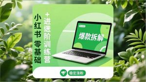 小红书零基础+高阶训练营:安全养号、爆款拆解、长效运营,实现稳定涨粉与变现-副业网创