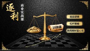 《逐 利》商业实战课,底层逻辑、杠杆策略、18锦囊,跨周期财富心法(更新-副业网创