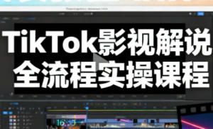 凌帧·TikTok影视解说全流程实操-副业网创