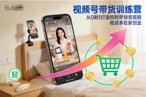 视频号带货训练营,从0到1打造你的带货变现路,低成本在家创业-副业网创