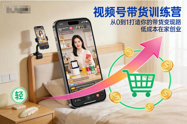 视频号带货训练营,从0到1打造你的带货变现路,低成本在家创业-副业网创