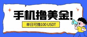 最新手机撸美金项目，单日产值100U+，2026年最新的风口项目-副业网创