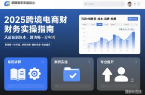 2025跨境电商财务实操指南，从后台到账本，算清每一分利润，系统讲解-案例实操-专业提升-副业网创