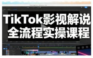 TikTok影视解说全流程实操,手把手教你打造TK爆款解说视频-副业网创