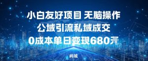 小白友好项目,无脑操作,公域引流私域成交,0成本单日变现680米-副业网创
