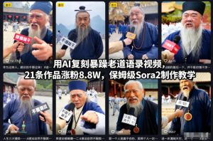用AI复刻暴躁老道语录视频,21条作品涨粉8.8W,保姆级Sora2制作教学-副业网创
