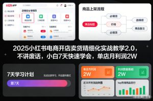 2025小红书电商开店卖货精细化实战教学2.0，不讲废话，小白7天快速学会，单店月利润2W-副业网创