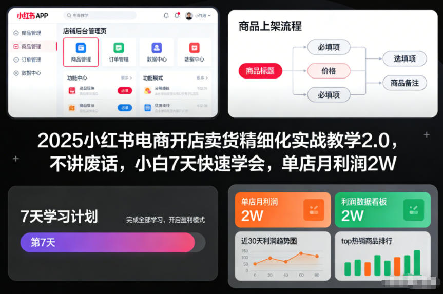 2025小红书电商开店卖货精细化实战教学2.0，不讲废话，小白7天快速学会，单店月利润2W-副业网创