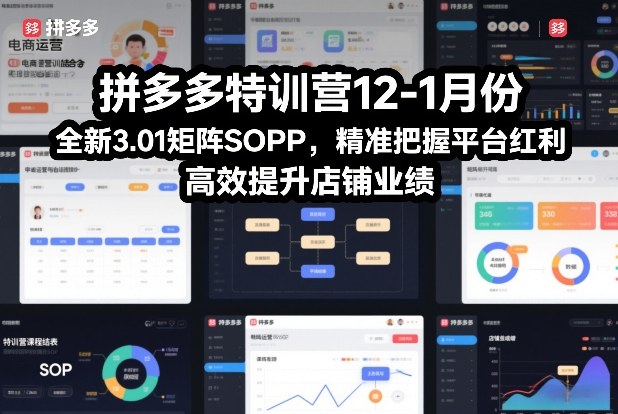 拼多多特训营12-1月份，全新3.01矩阵Sop，精准把握平台红利，高效提升店铺业绩-副业网创