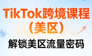 TikTok跨境课程(美区)-副业网创