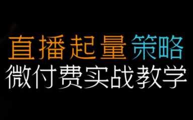 半野老师·直播带货起量与微付费必学课视频号(更新2026)-副业网创