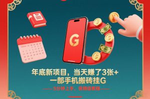 年底新项目，当天賺了3张+，一部手机搬砖挂G，5分钟上手，保姆级教程【揭秘】-副业网创