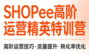 梦凡老师·Shopee虾皮高阶运营课程-副业网创