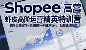 Shopee虾皮高阶运营精英特训营，高阶运营技巧+流量提升+转化率优化，助你业绩翻倍-副业网创