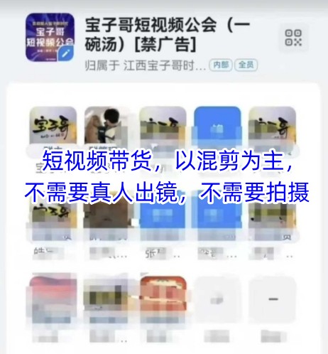 宝子哥头部团队短视频带货,以混剪为主,不需要真人出镜,不需要拍摄【更新26年1月】-副业网创