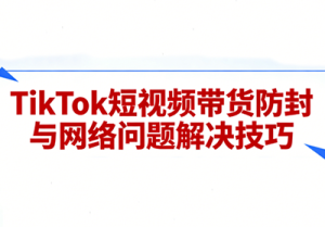老谭·TikTok短视频带货实拍课程-副业网创