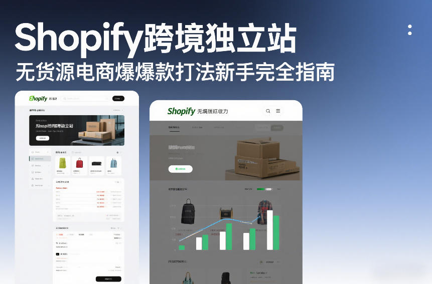 Shopify跨境独立站无货源电商爆款打法新手完全指南-副业网创