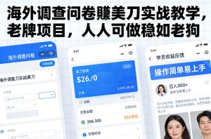 海外调查问卷賺美刀实战教学，老牌项目，人人可做稳如老狗-副业网创