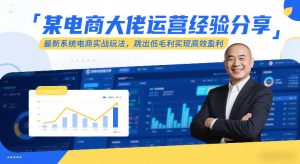 某电商大佬运营经验分享，最新系统电商实战玩法，跳出低毛利实现高效盈利-副业网创