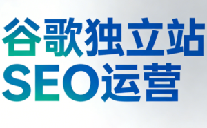 谷歌独立站SEO运营(更新2026)-副业网创