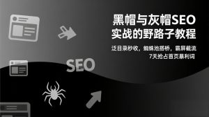 黑帽与灰帽SEO实战的野路子教程：泛目录秒收，蜘蛛池搭桥，霸屏截流，7天抢占首页暴利词-副业网创
