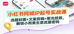小红书同城IP起号实战课：选题封面+文案剪辑+聚光投放，解锁小而美生意流量密码-副业网创