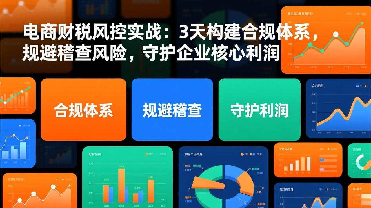 电商财税风控实战:3天构建合规体系,规避稽查风险,守护企业核心利润-副业网创