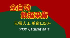 全自动数据采集，无需人工，单窗口50+，0成本可批量矩阵操作【揭秘】-副业网创