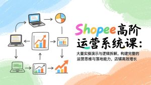Shopee高阶运营系统课：大量实操演示与逻辑拆解，构建完整的运营思维与落地能力，店铺高效增长-副业网创
