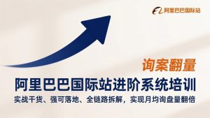 阿里巴巴国际站进阶系统培训，实战干货、强可落地、全链路拆解，实现月均询盘量翻倍-副业网创