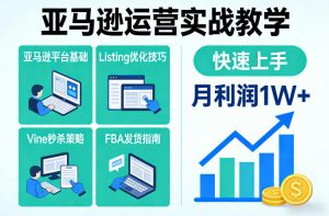 亚马逊运营实战教学，亚马逊平台+Listing优化+Vine秒杀+FBA发货等，快速上手，实现店铺月利润1W-副业网创