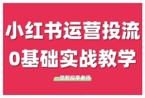 小红书运营投流,小红书广告投放从0到1的实战课,学完即可开始投放(更新26年)-副业网创