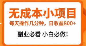 无成本小项目 每天操作几分钟，真实日收益800+ 副业必看 小白必做！-副业网创