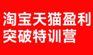 玺承·淘宝天猫盈利突破特训营(25年12月线下课)【音频+字幕】-副业网创