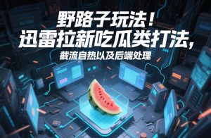 野路子玩法！迅雷拉新吃瓜类打法，截流自热以及后端处理-副业网创